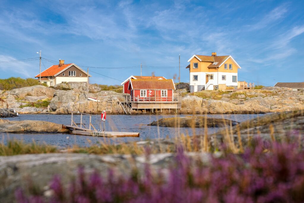 En vy på tre hus som ligger vid en skärgårdsmiljö. Klarblå himmel och lila blommor i förgrunden.