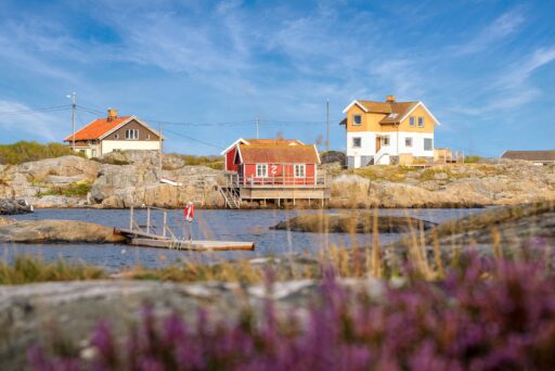 En vy på tre hus som ligger vid en skärgårdsmiljö. Klarblå himmel och lila blommor i förgrunden.